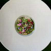 Spring Salad with burrata, spring peas and quinoa