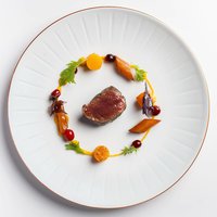 MILLBROOK VENISON honey nut squash, salsify, cranb